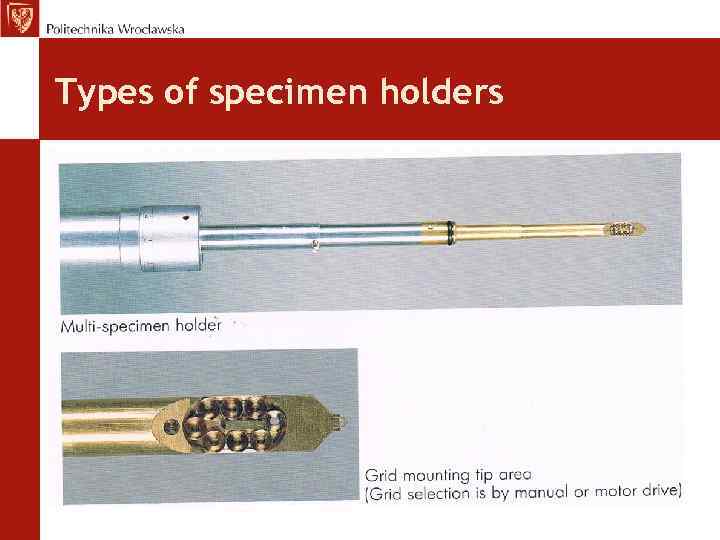 Types of specimen holders 