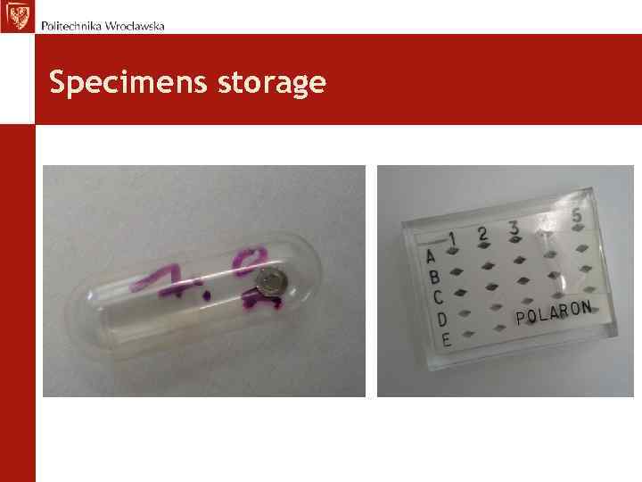 Specimens storage 