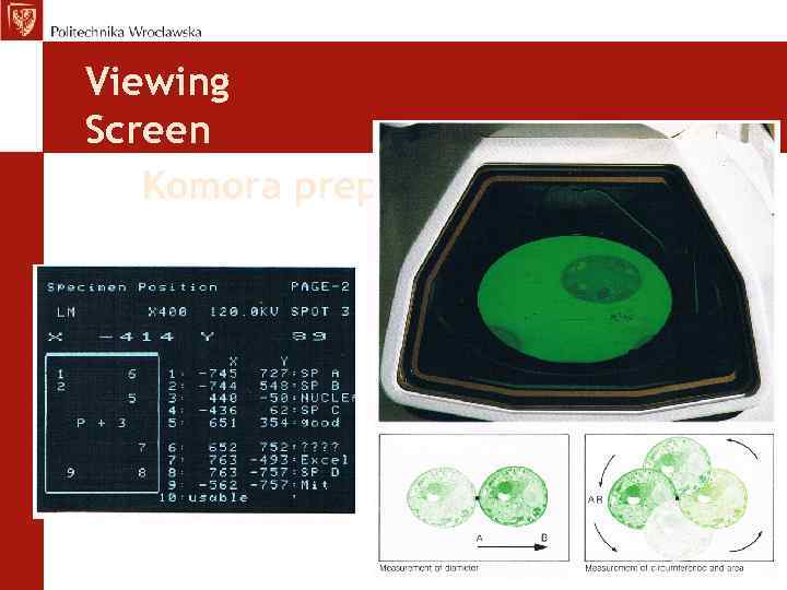 Viewing Screen Komora preparatu 