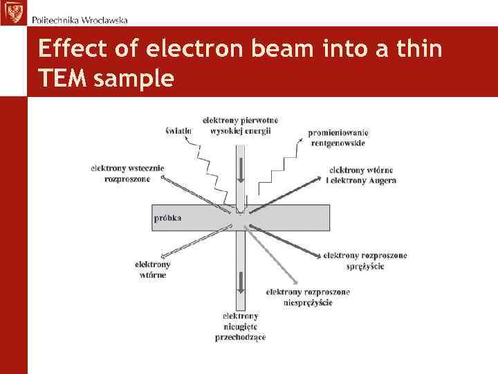 Effect of electron beam into a thin TEM sample 