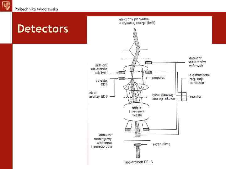 Detectors 