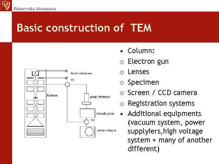 Basic construction of TEM • o o o • Column: Electron gun Lenses Specimen