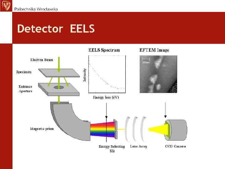 Detector EELS 