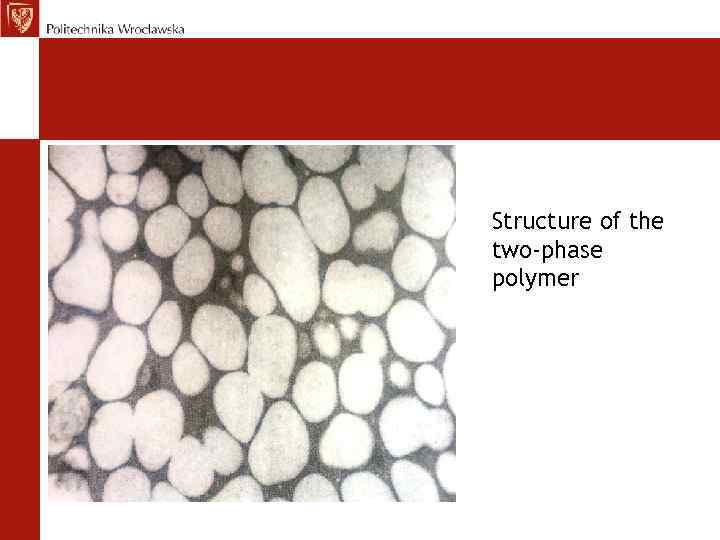 Structure of the two-phase polymer 