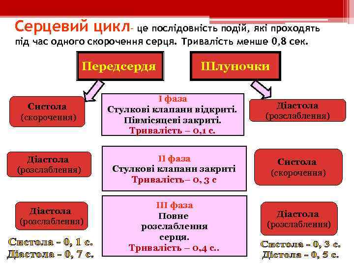 Серцевий цикл– це послідовність подій, які проходять під час одного скорочення серця. Тривалість менше