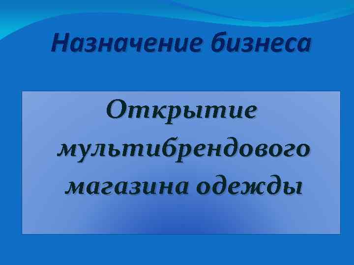 Назначение бизнеса Открытие мультибрендового магазина одежды 