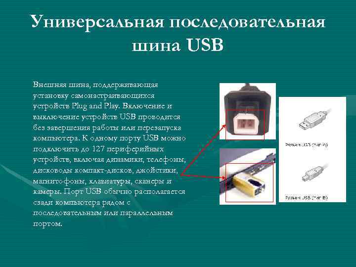 Универсальная последовательная шина USB Внешняя шина, поддерживающая установку самонастраивающихся устройств Plug and Play. Включение