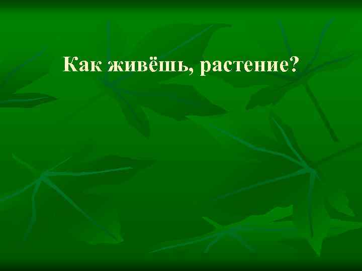 Как живёшь, растение? 