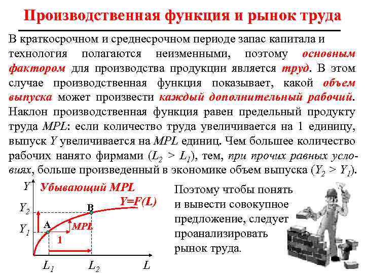 Производственная функция и рынок труда В краткосрочном и среднесрочном периоде запас капитала и технология