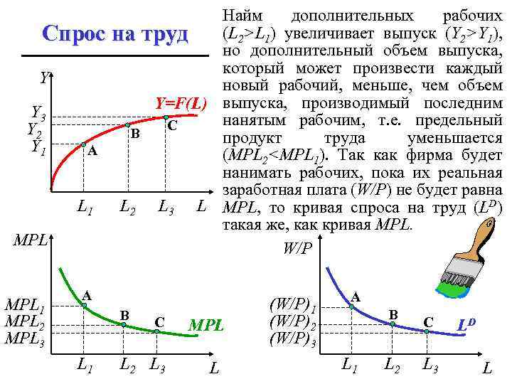 Найм дополнительных рабочих (L 2>L 1) увеличивает выпуск (Y 2>Y 1), Спрос на труд