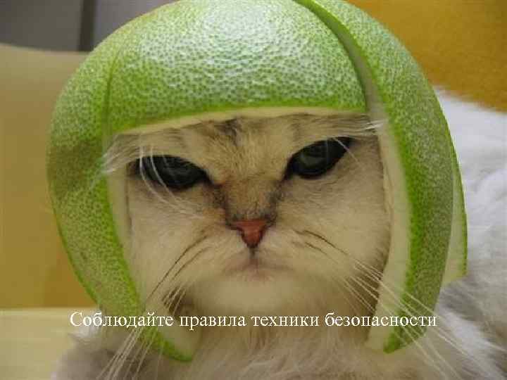 Соблюдайте правила техники безопасности 
