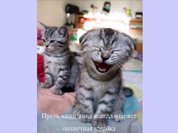 Пусть ваши лица всегда озаряет солнечная улыбка 