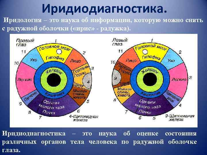 Иридиодиагностика. Иридология – это наука об информации, которую можно снять с радужной оболочки (