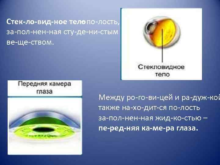 Стек ло вид ное тело – по лость, за пол нен ная сту де