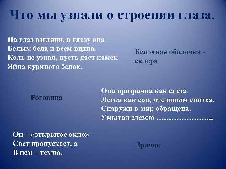 Что мы узнали о строении глаза. На глаз взгляни, в глазу она Белым бела