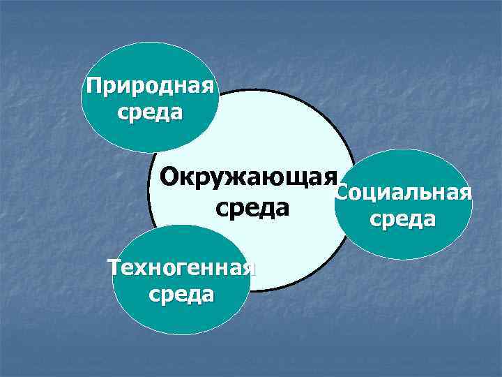 Природная среда Окружающая Социальная среда Техногенная среда 