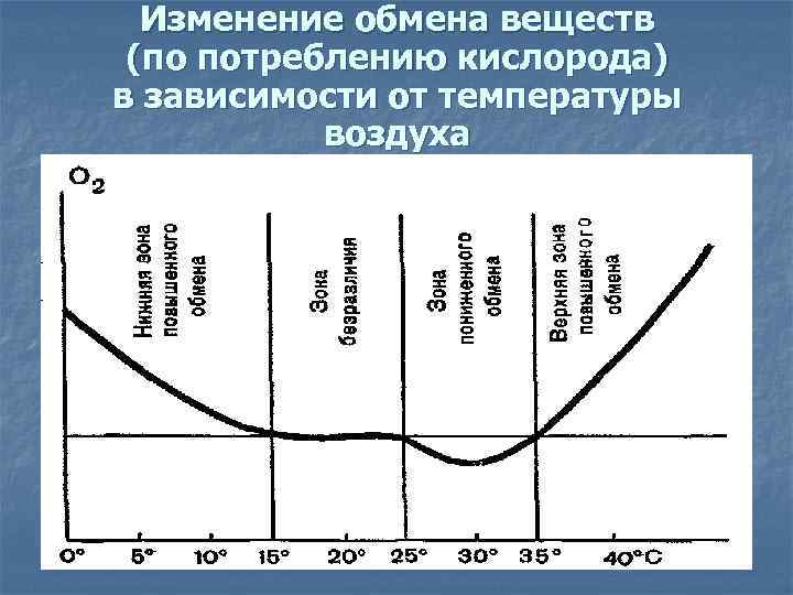 Изменение обмена веществ (по потреблению кислорода) в зависимости от температуры воздуха 