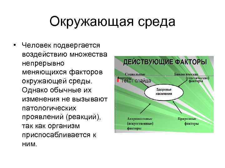 Окружающая среда • Человек подвергается воздействию множества непрерывно меняющихся факторов окружающей среды. Однако обычные
