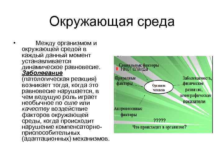 Окружающая среда • Между организмом и окружающей средой в каждый данный момент устанавливается динамическое
