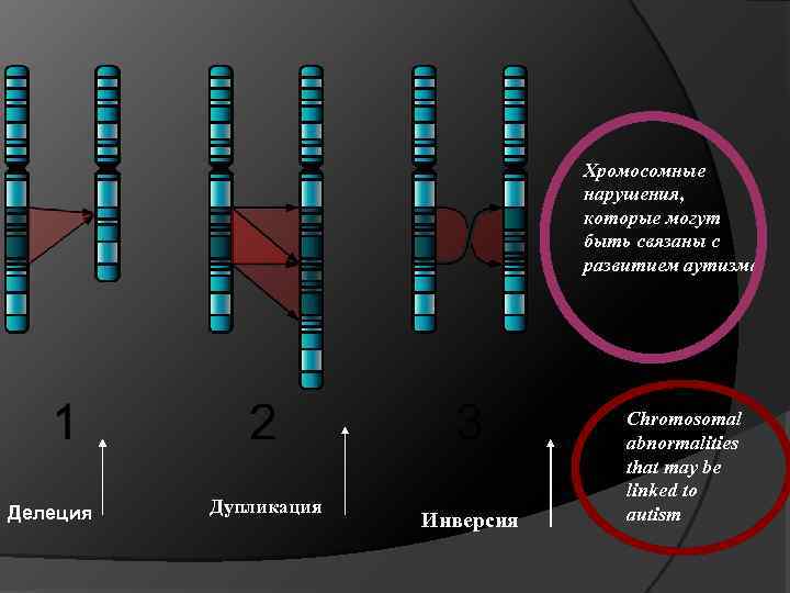 Хромосомные нарушения, которые могут быть связаны с развитием аутизма Делеция Дупликация Инверсия Chromosomal abnormalities