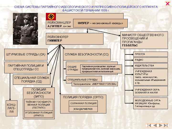 Фашистский новый порядок проявления схема