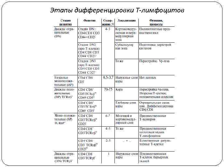 Этапы дифференцировки Т-лимфоцитов 