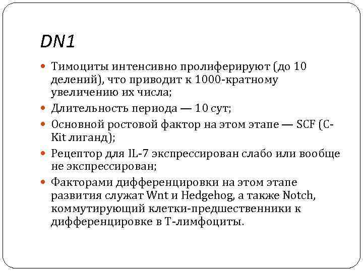 DN 1 Тимоциты интенсивно пролиферируют (до 10 делений), что приводит к 1000 -кратному увеличению