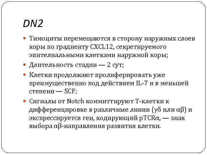 DN 2 Тимоциты перемещаются в сторону наружных слоев коры по градиенту CXCL 12, секретируемого