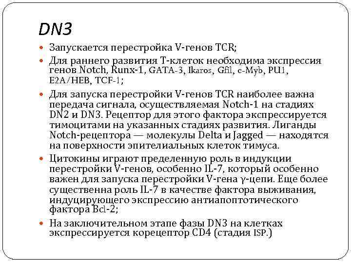 DN 3 Запускается перестройка V-генов TCR; Для раннего развития Т-клеток необходима экспрессия генов Notch,