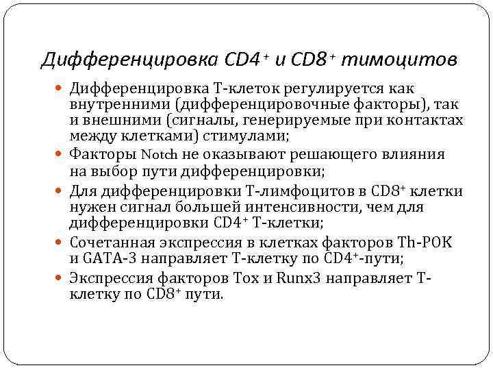 Дифференцировка CD 4 + и CD 8 + тимоцитов Дифференцировка Т-клеток регулируется как внутренними
