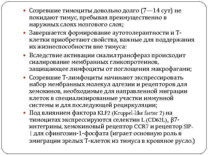  Созревшие тимоциты довольно долго (7— 14 сут) не покидают тимус, пребывая преимущественно в