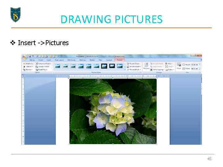 DRAWING PICTURES v Insert ->Pictures 45 