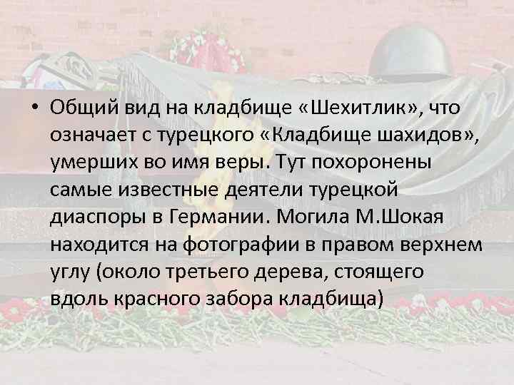  • Общий вид на кладбище «Шехитлик» , что означает с турецкого «Кладбище шахидов»