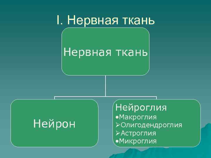 I. Нервная ткань Нейроглия Нейрон • Макроглия ØОлигодендроглия ØАстроглия • Микроглия 