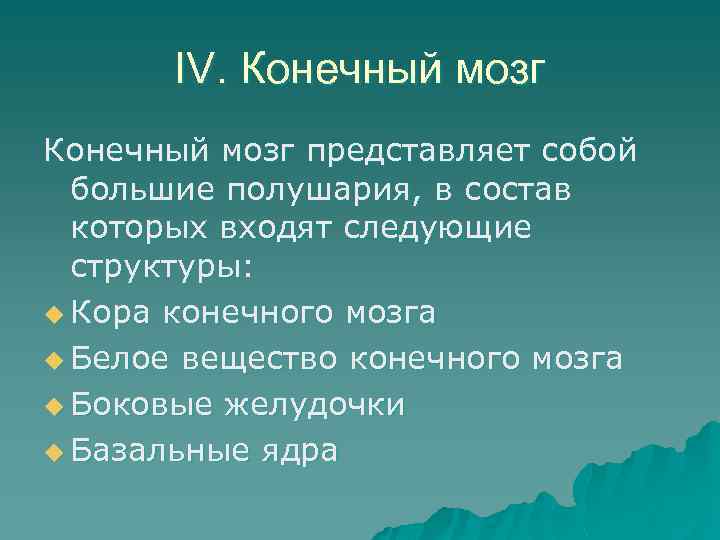 IV. Конечный мозг представляет собой большие полушария, в состав которых входят следующие структуры: u