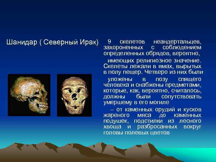 Шанидар ( Северный Ирак) 9 скелетов неандертальцев, захороненных с соблюдением определенных обрядов, вероятно, имеющих