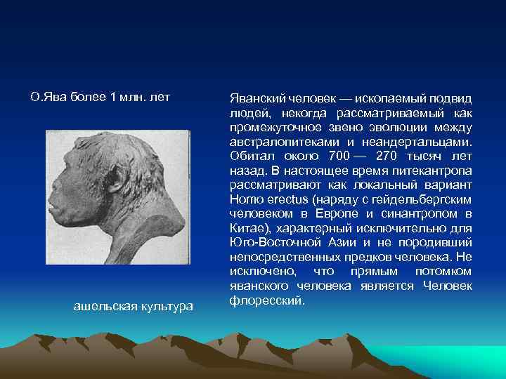 О. Ява более 1 млн. лет ашельская культура Яванский человек — ископаемый подвид людей,