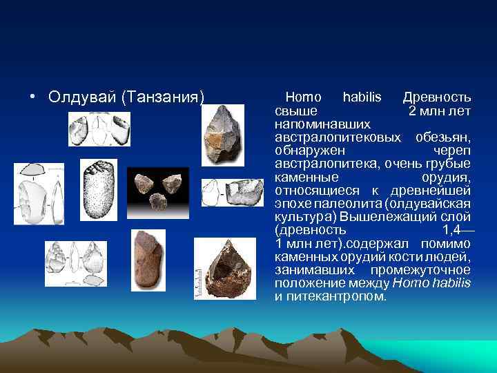  • Олдувай (Танзания) Homo habilis Древность свыше 2 млн лет напоминавших австралопитековых обезьян,