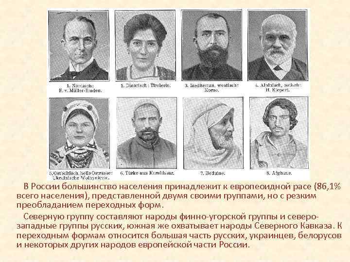 В России большинство населения принадлежит к европеоидной расе (86, 1% всего населения), представленной двумя