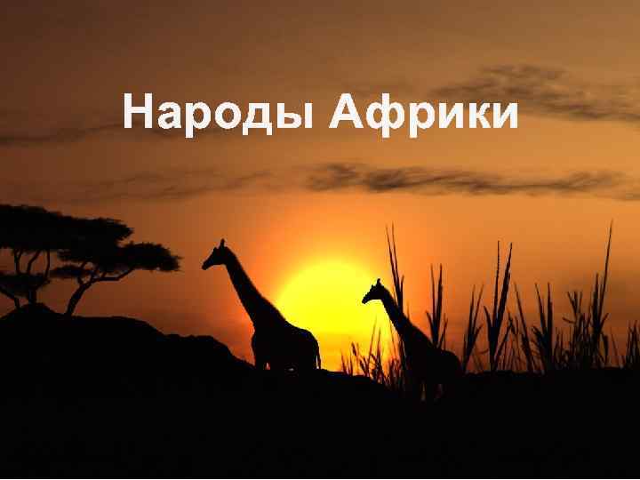 Народы Африки 