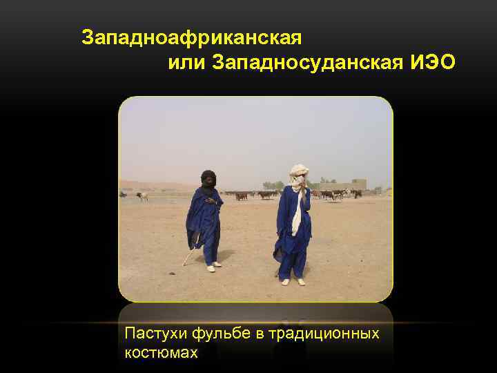 Западноафриканская или Западносуданская ИЭО Пастухи фульбе в традиционных костюмах 