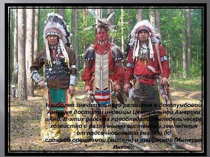 Наиболее значительного развития в доколумбовой Америке достигли индейцы Центральной Америки и. Анд. В этих