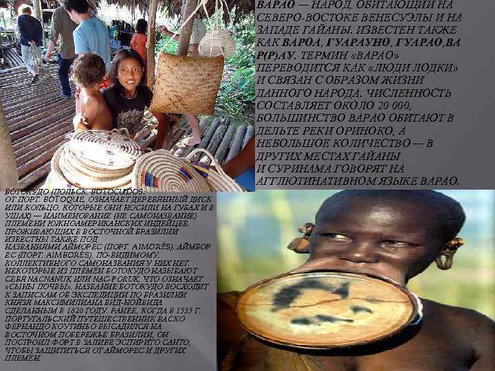 БОТОКУДО (ПОЛЬСК. BOTOCUDOS; ОТ ПОРТ. BOTOQUE, ОЗНАЧАЕТ ДЕРЕВЯННЫЙ ДИСК ИЛИ КОЛЬЦО, КОТОРЫЕ ОНИ НОСИЛИ