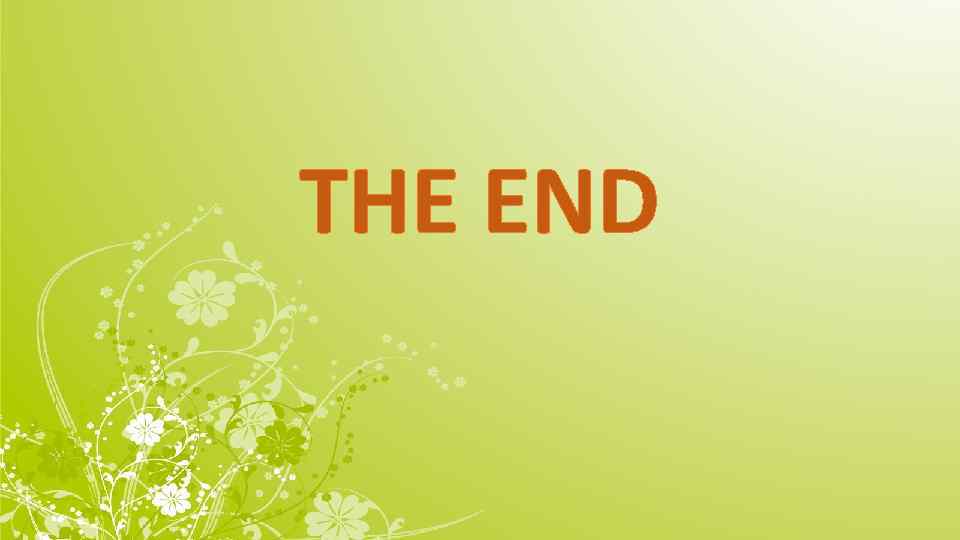 THE END 