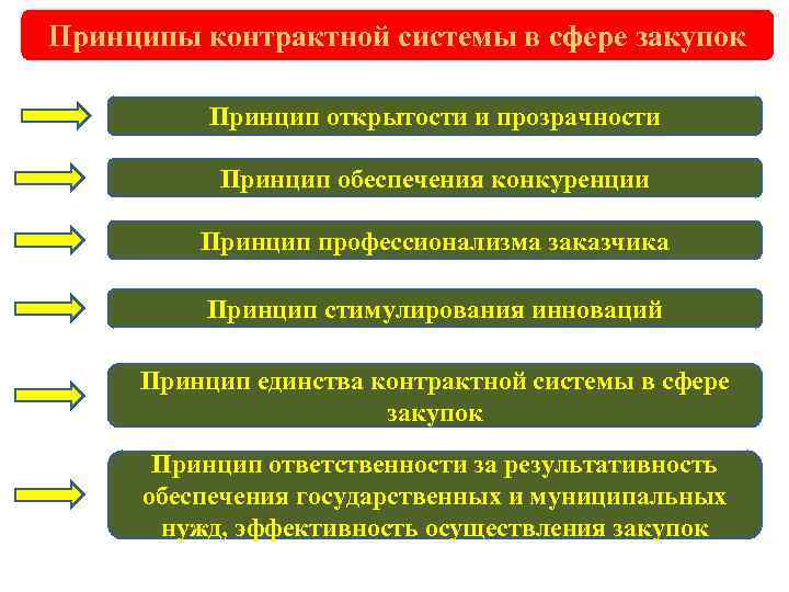 Принципы контрактной системы в сфере закупок Принцип открытости и прозрачности Принцип обеспечения конкуренции Принцип