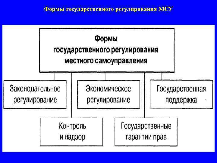 Формы государственного регулирования МСУ 