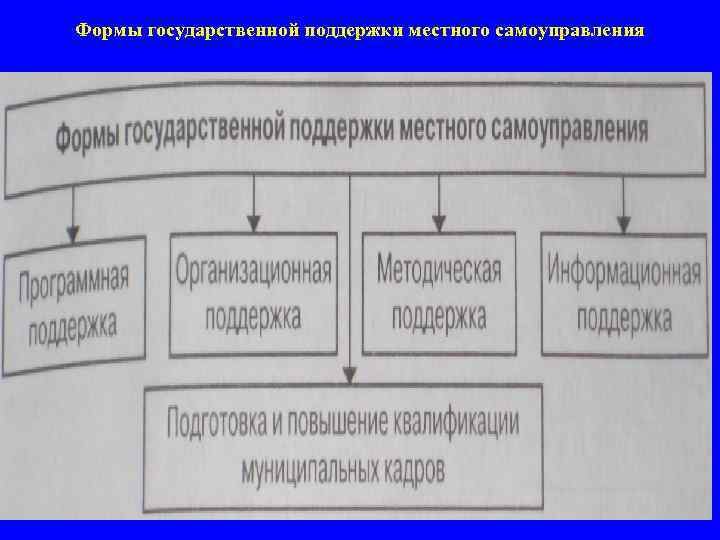 Виды государственной помощи