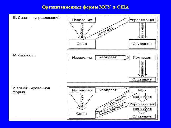 Организационные формы МСУ в США 