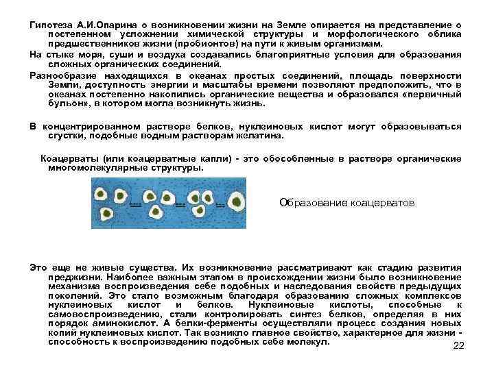 Гипотеза А. И. Опарина о возникновении жизни на Земле опирается на представление о постепенном