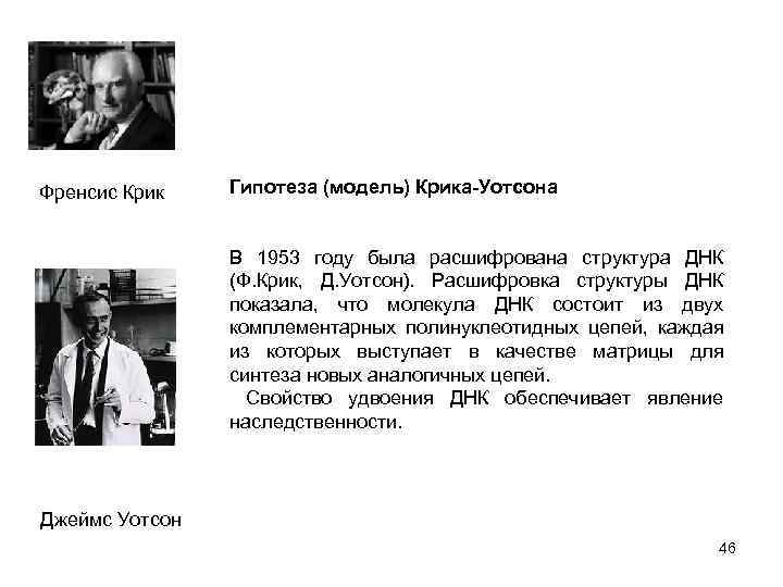 Френсис Крик Гипотеза (модель) Крика-Уотсона В 1953 году была расшифрована структура ДНК (Ф. Крик,